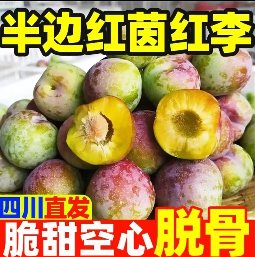 四川正宗脱骨半边红茵红李新鲜应季水果脆甜多汁