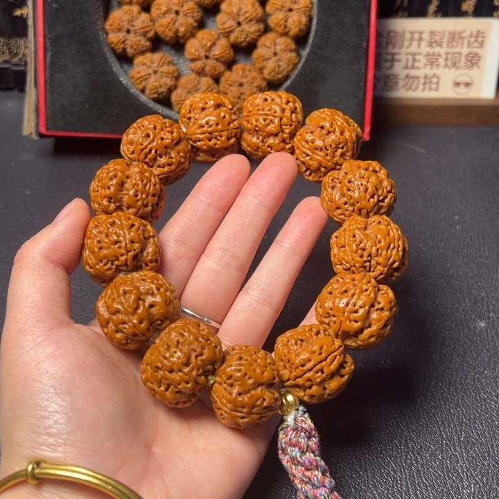 手串金刚菩提五抓金龙