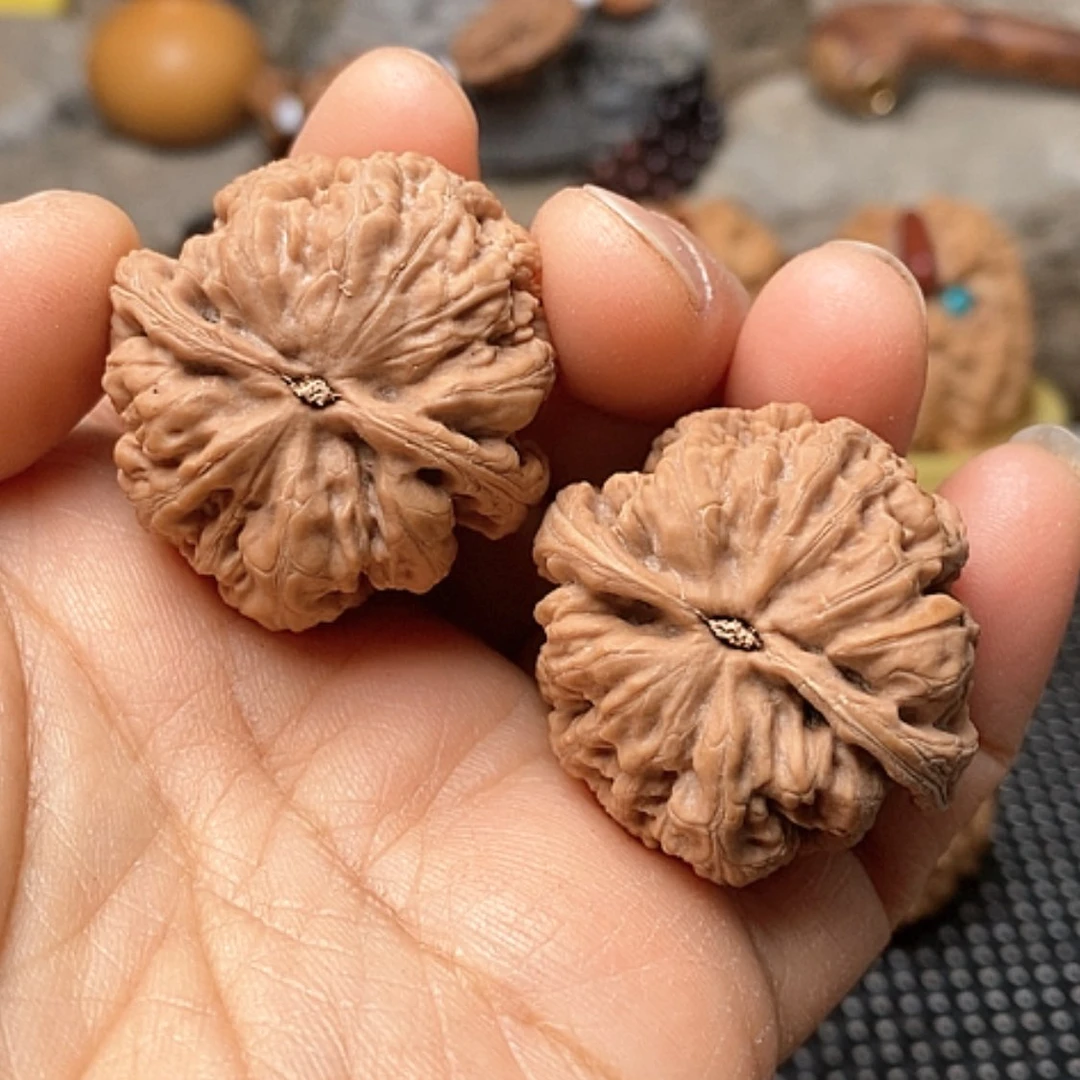 【闪购商品】文玩核桃把件禮**ㅤ粗筋