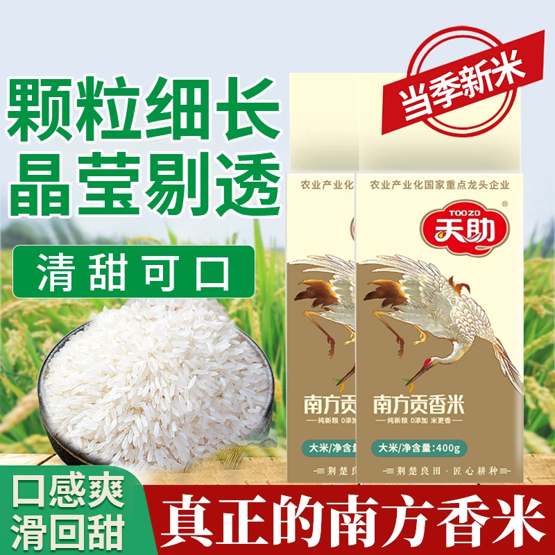 【天助香米】南方贡香米当季新米粒粒饱满400g