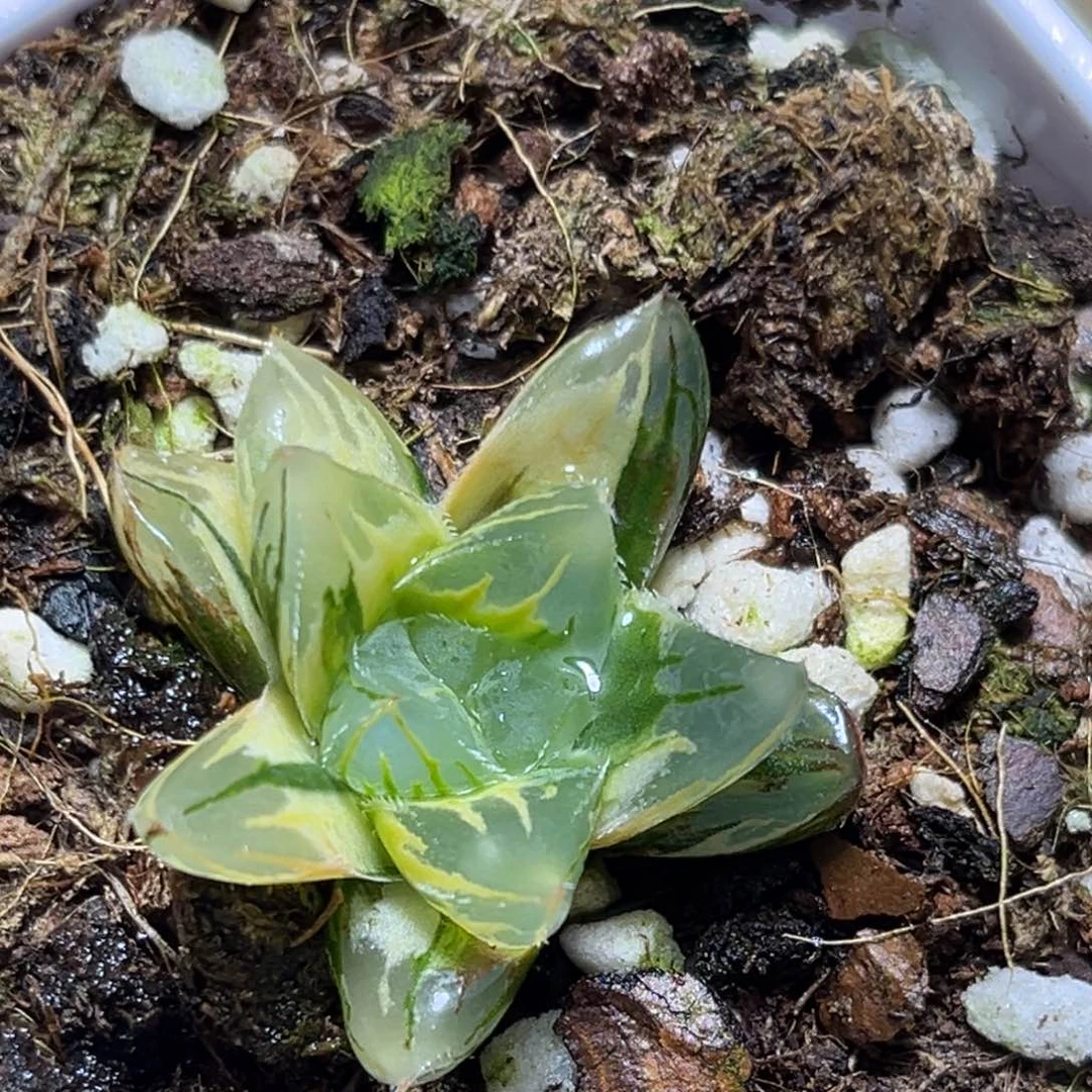 恭喜发财大吉大利910