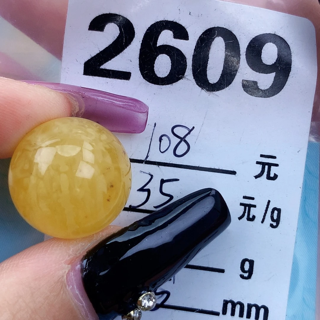 琥珀未镶嵌珠宝奇石17.5植物，沙眼孔道
