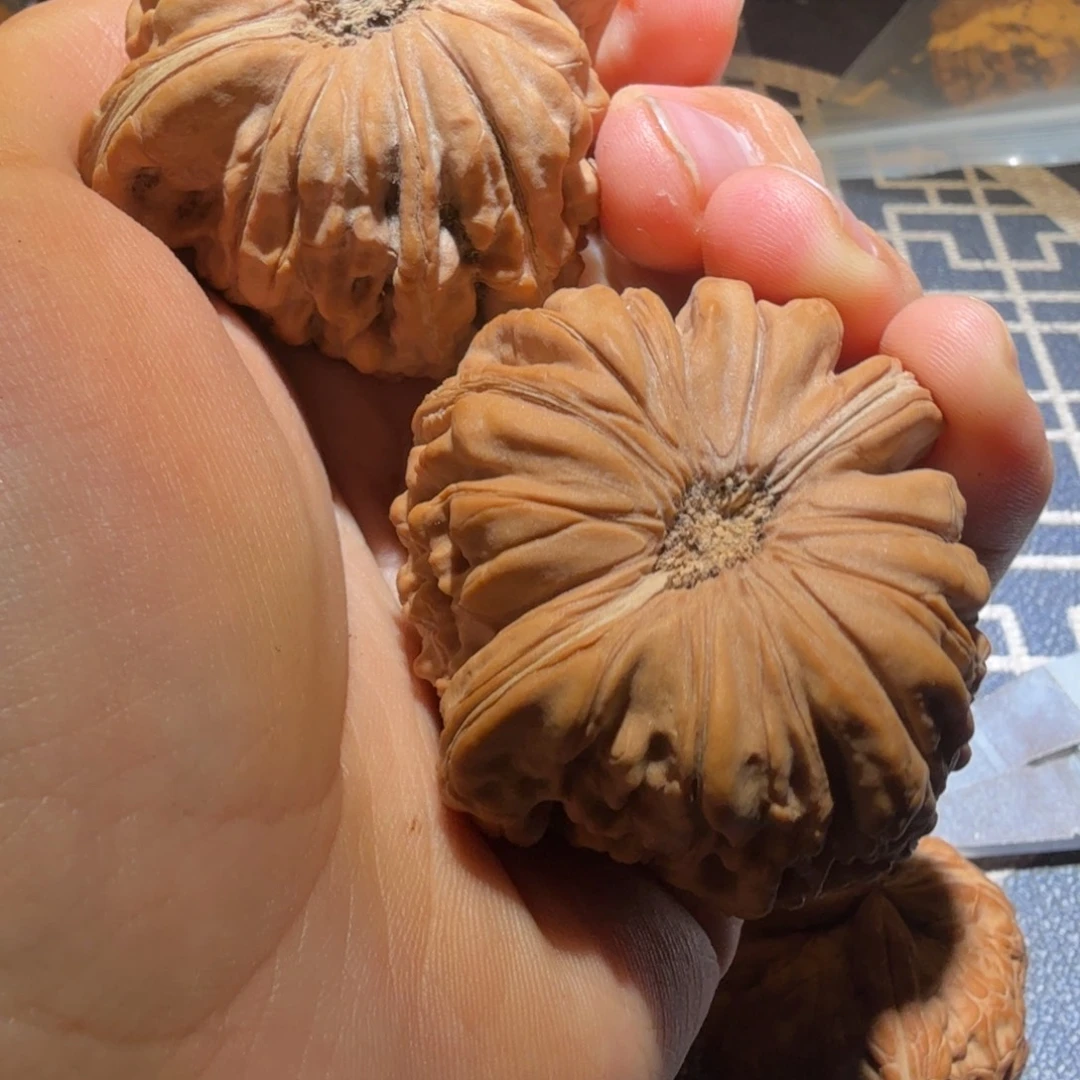 猴头核桃把件华坤龙