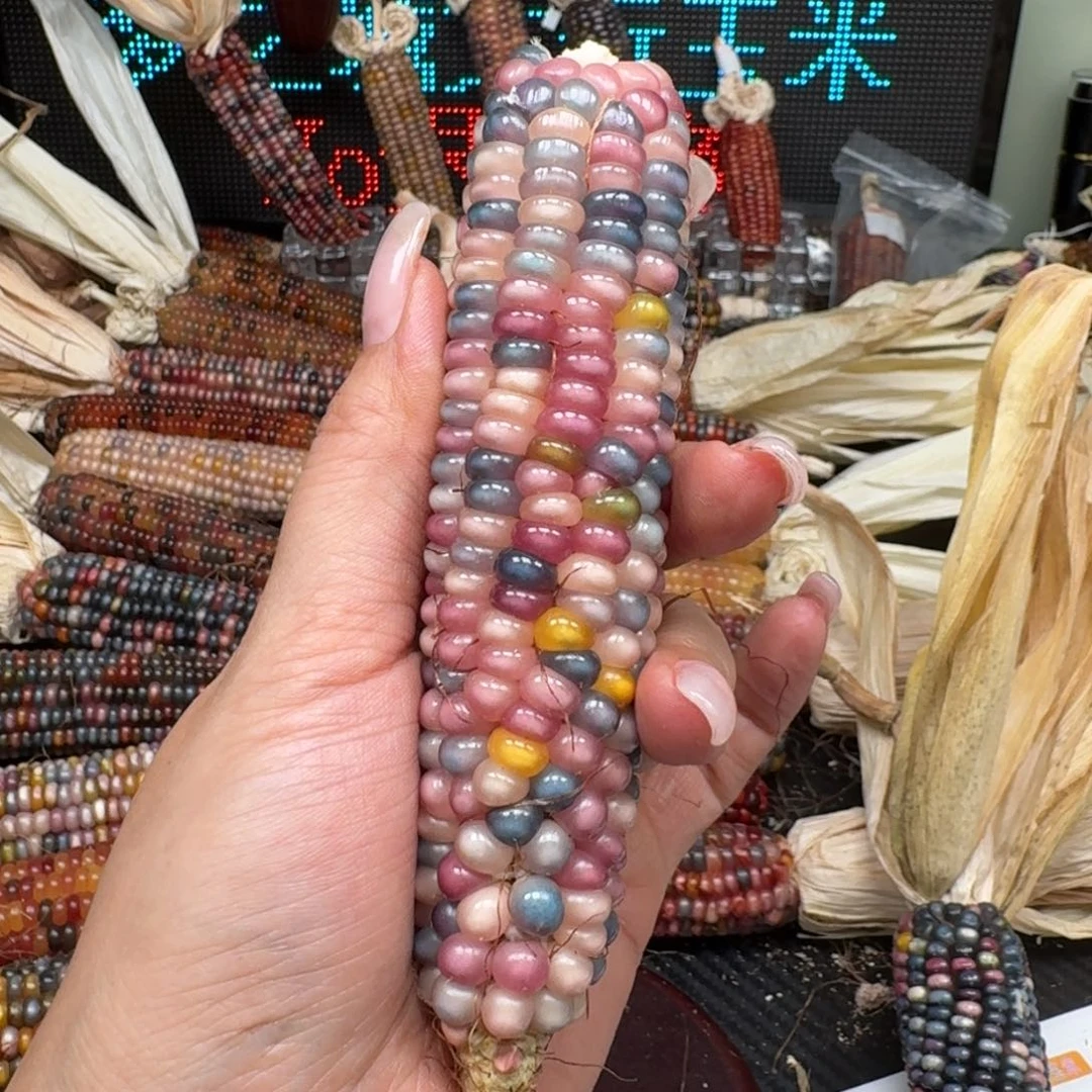 柏香籽/百香籽吊坠女****瞳