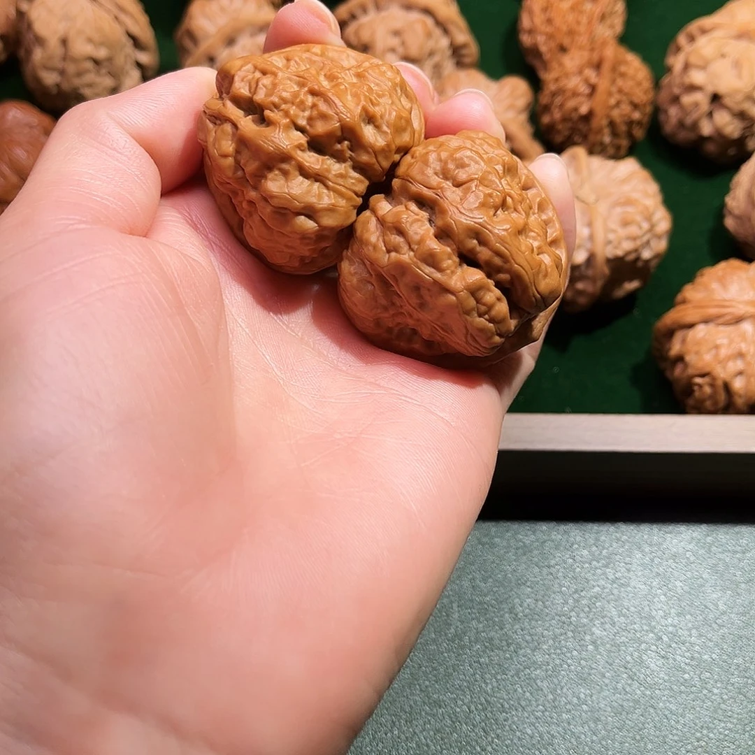 核桃涞水山地果蛤莫头40尺