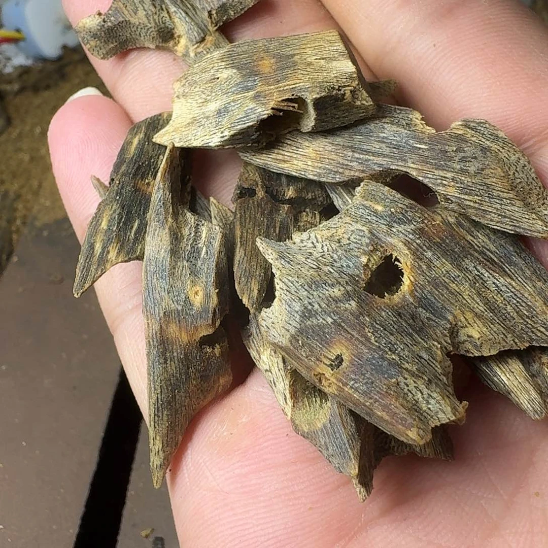 沉香摆件绿奇楠沉香沉水原料20克