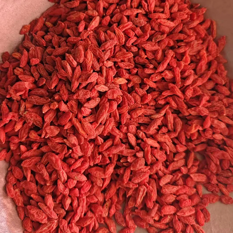 枸杞子宁夏正宗无熏染采摘500g中宁头茬免洗泡水红苟杞大果狗纪干