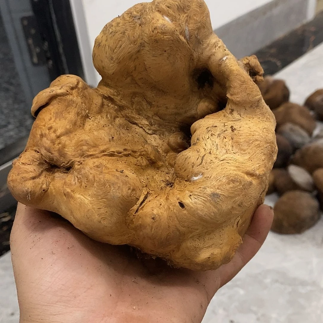 暖***风荔枝木荔枝木原料