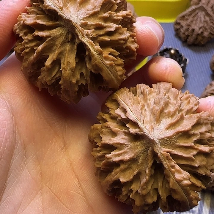 本***你把件文玩核桃核桃3