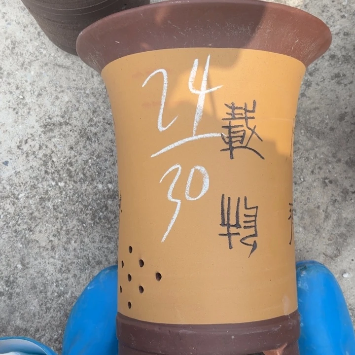 紫砂花盆紫砂的花