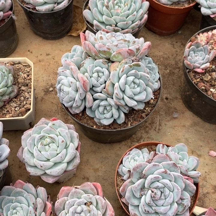 哈哈哈哈哈哈哈哈哈哈