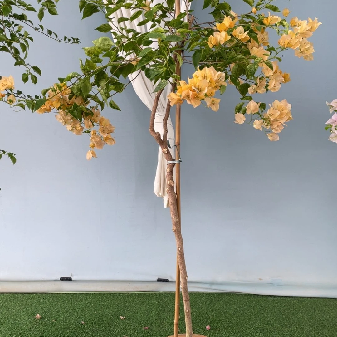 无花朵0950幻想掉花断枝不售后
