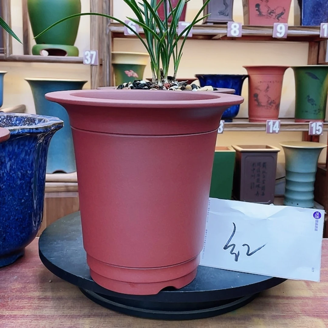 【闪购商品】紫砂花盆兰花556588996633558899