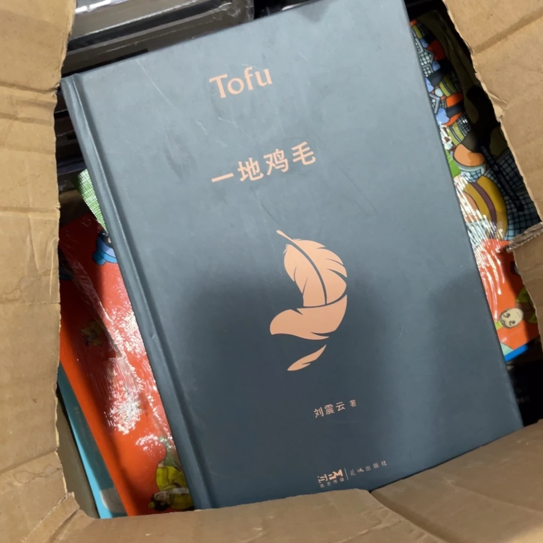 一地鸡毛精装一个