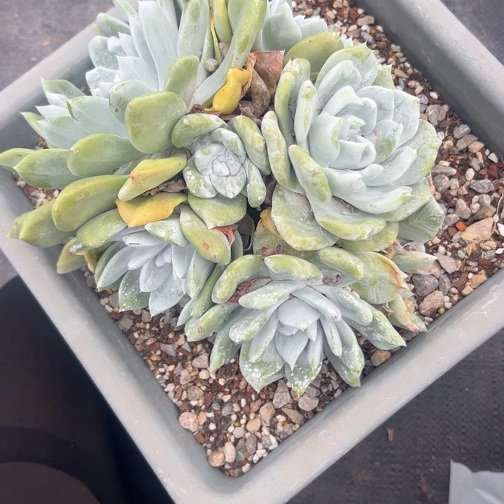 投***剑13级折扣85折1000谢谢哥～一物一拍1.