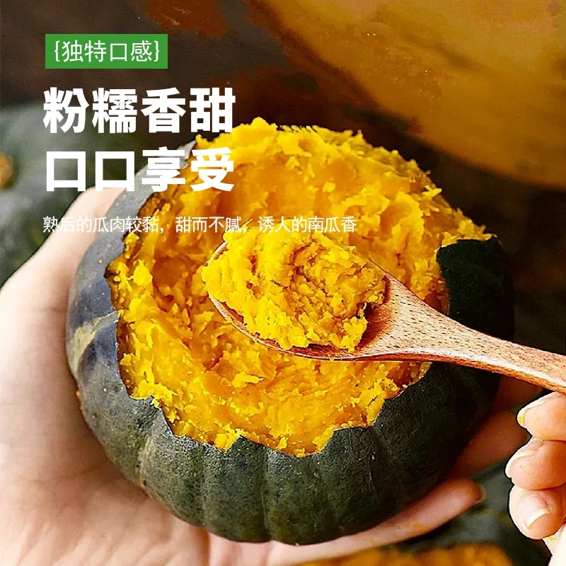 内蒙古正宗贝贝南瓜粉糯香甜板栗味现摘现发迷你小南瓜4.5斤