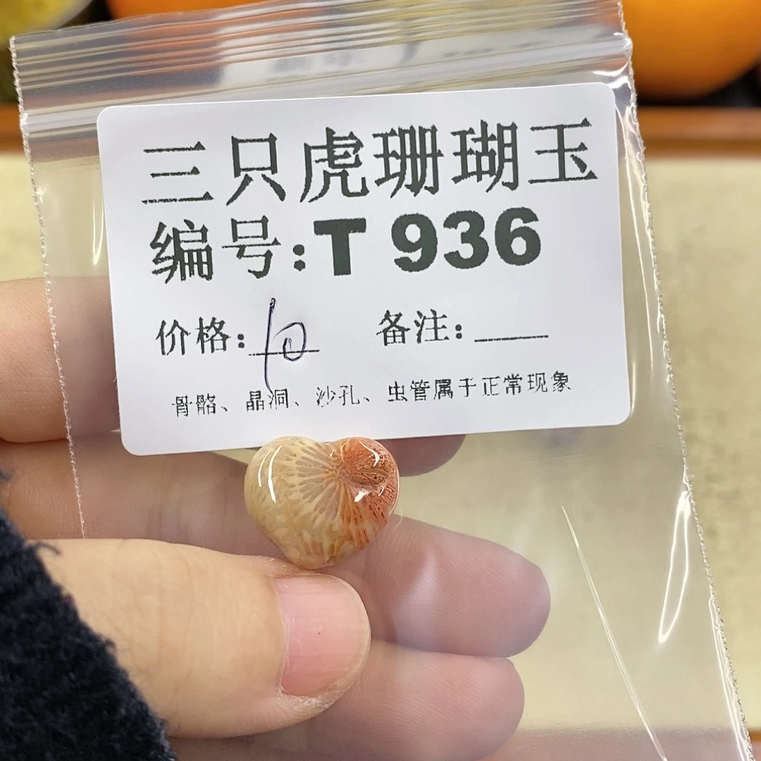 硅化珊瑚（珊瑚玉）1未镶嵌滢