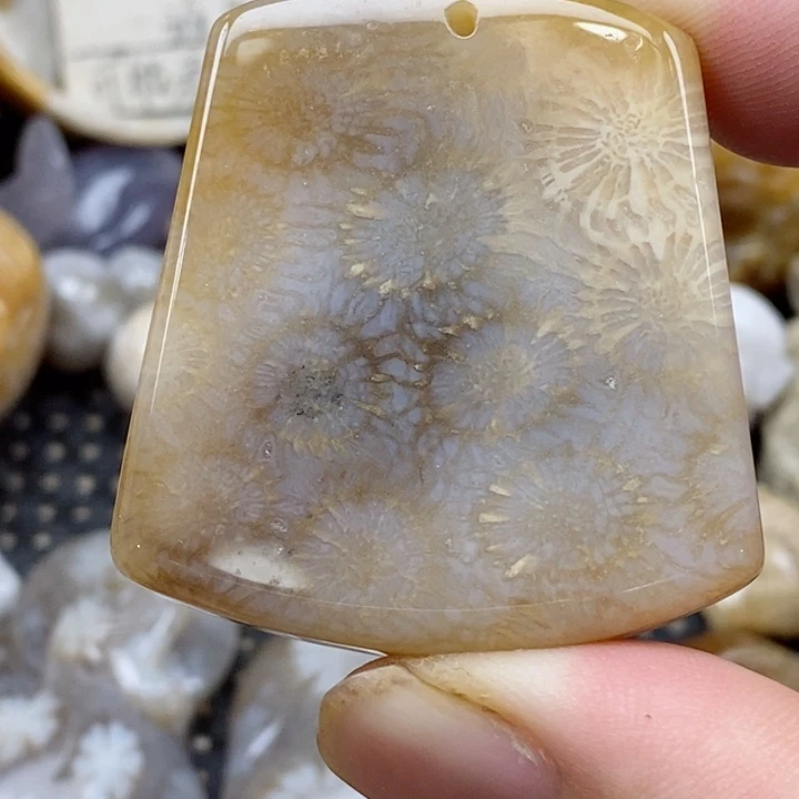 颈饰未镶嵌硅化珊瑚（珊瑚玉）