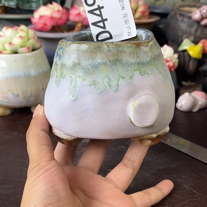 重庆小燕子欢迎大家449
