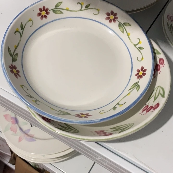杯瓷片手绘22厘米深盘2个