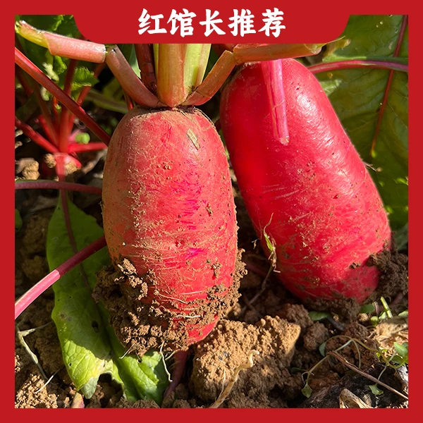 【代买山货】农户自销红皮萝卜（小果）