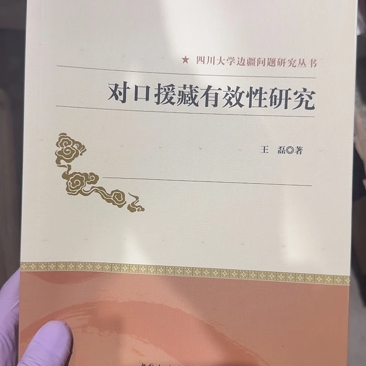 对口援藏有效性研究