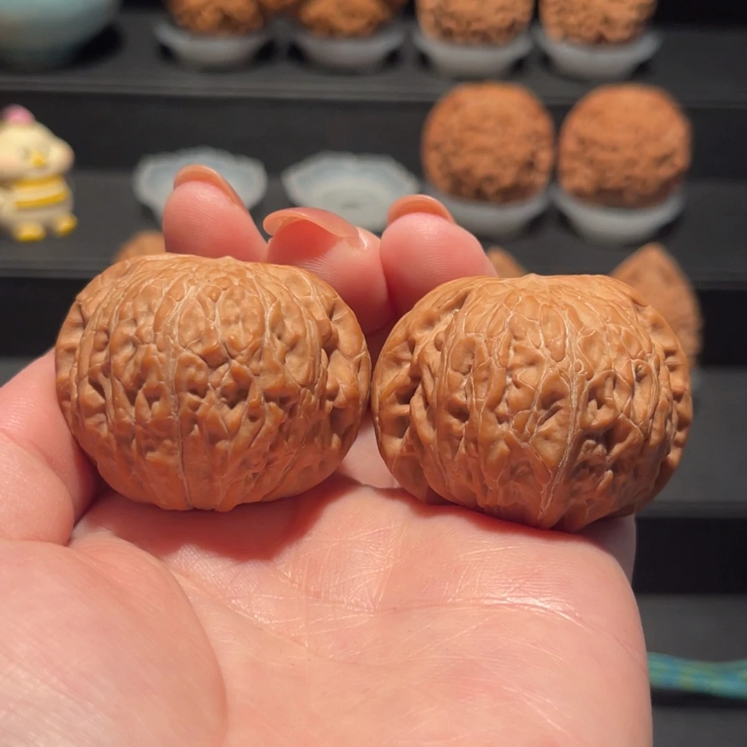 铁锤41精品，全品货头