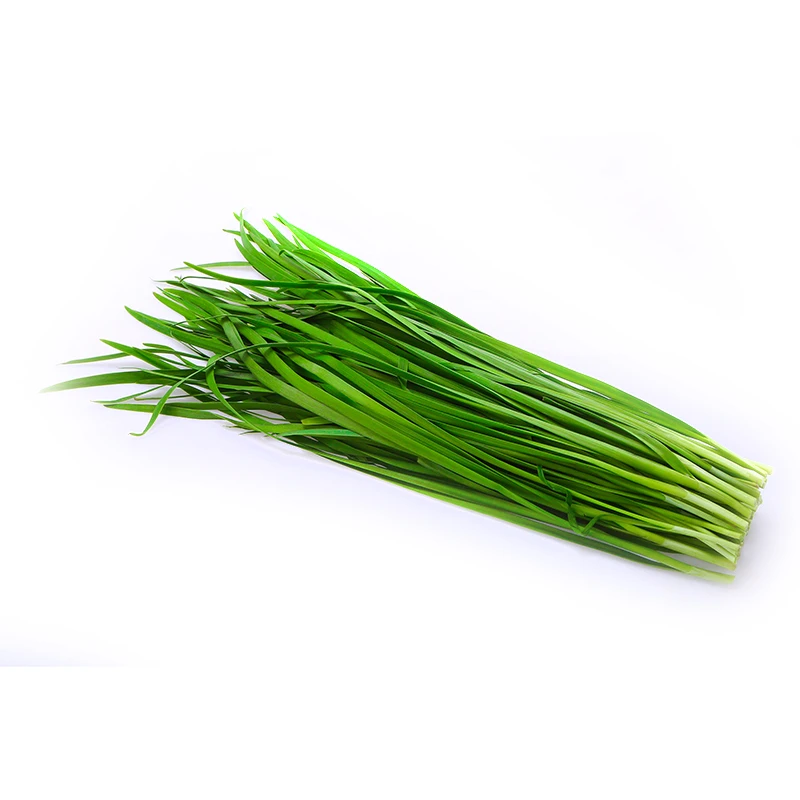 【高山鲜】优鲜多歌小叶香韭菜约300g