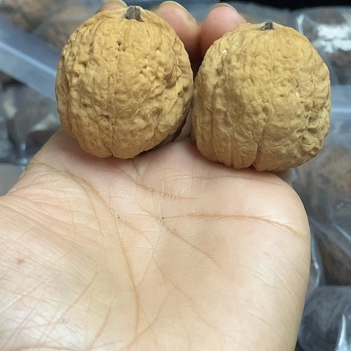 文玩核桃把件云南铁核桃基地51