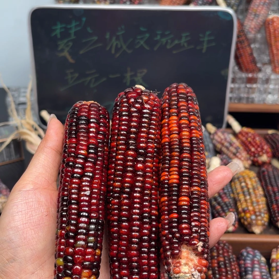 柏香籽/百香籽吊坠➕*?