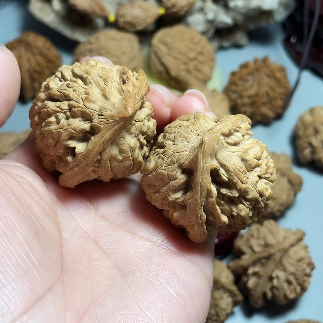 核桃手串/手链精品官帽飞蛇