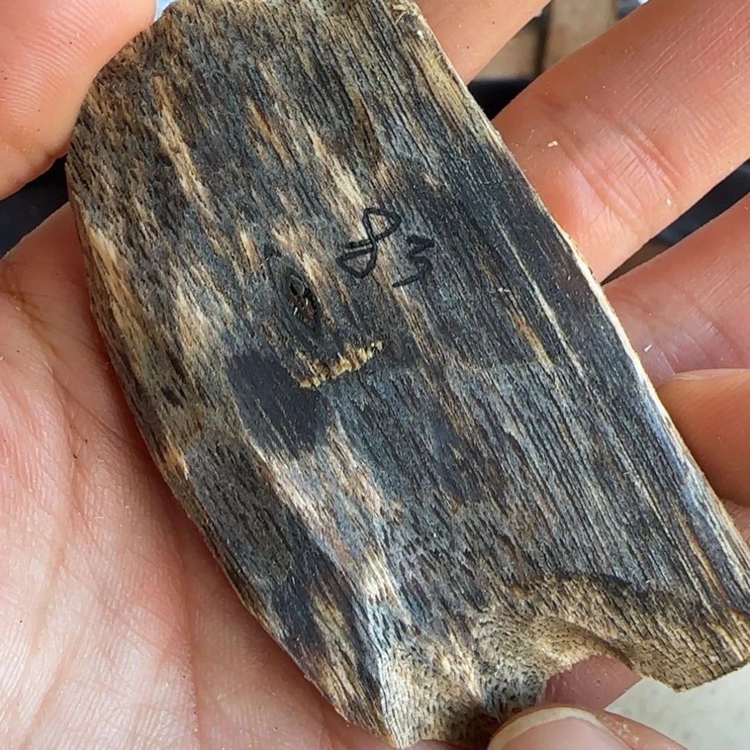 沉香沉香碎屑83奇楠沉香原木一个黑奇