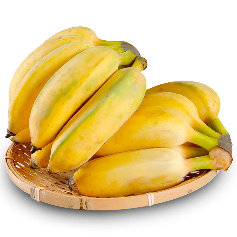 广西小米香蕉 3/9斤新鲜水果软糯孕妇水果小香蕉非西A