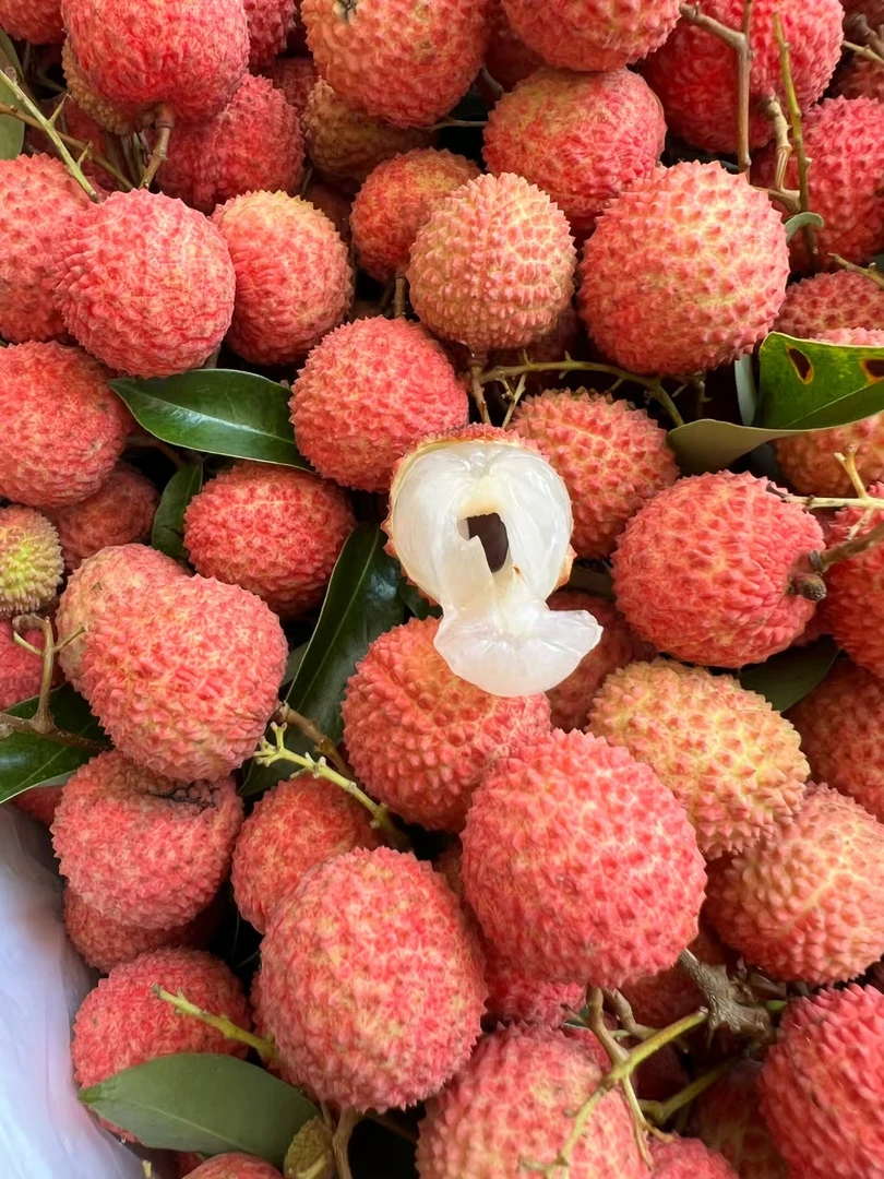 【京东空运】2025年广东高州老树桂味荔枝新鲜现摘现发5/10斤礼盒装