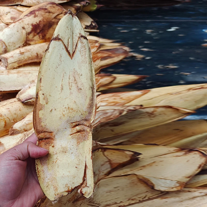 云南德宏盈江县勐弄乡粽包米，炒肉微苦鲜嫩，煮汤口感微苦香浓可口