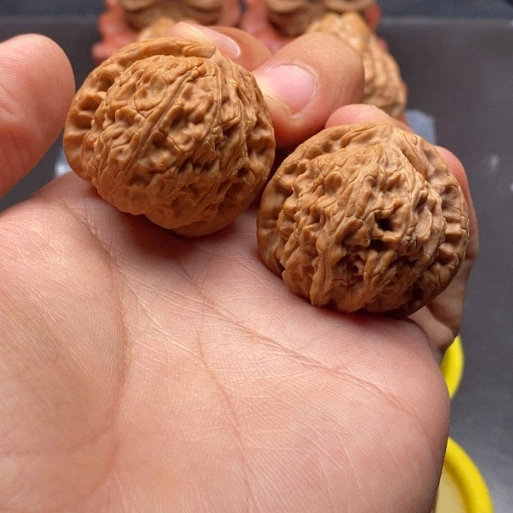 35尺全品白狮子小手捻