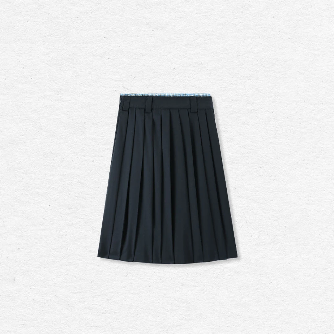 徐66【青序诗褶 】半身裙不褪色夏季中长裙高腰百褶裙秋季裙子中腰