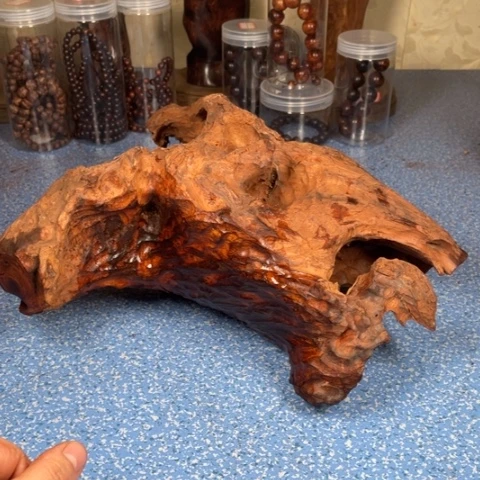 黄花梨/降香黄檀疆*