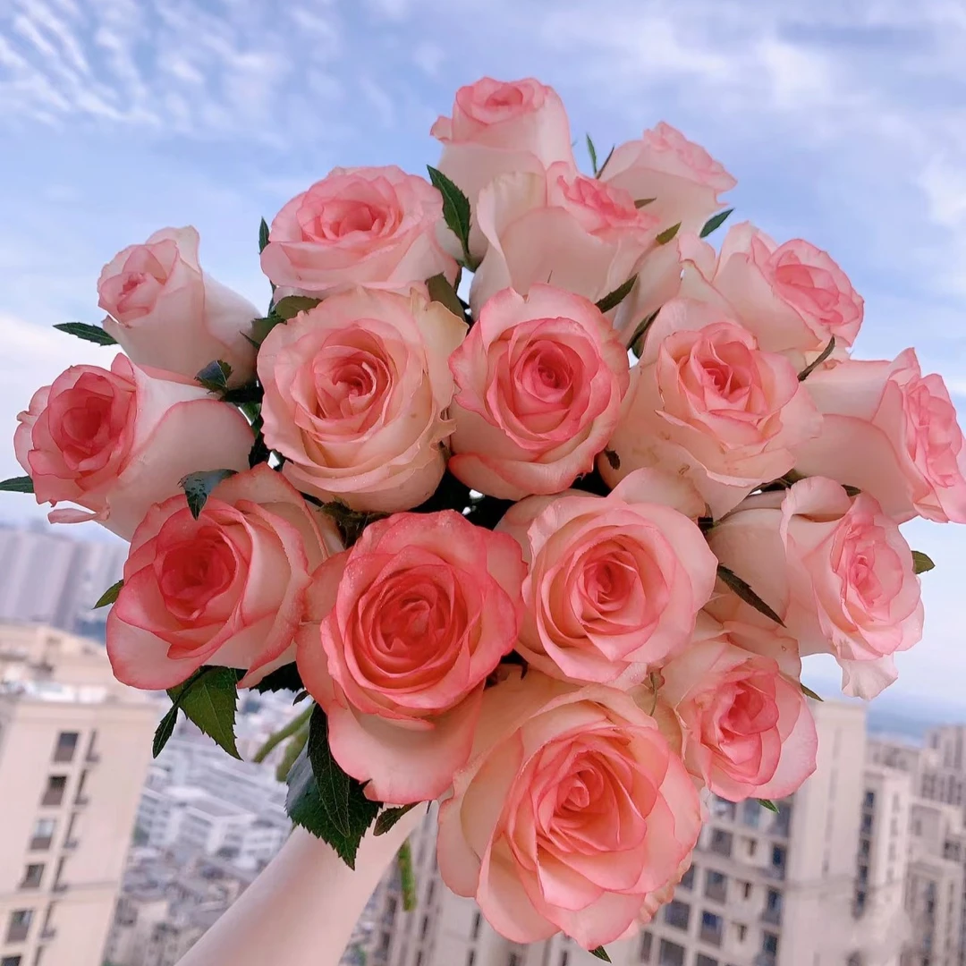 【艾莎+香槟+香水百合+洋桔梗套餐】鲜花【0度以下请拍保温棉】
