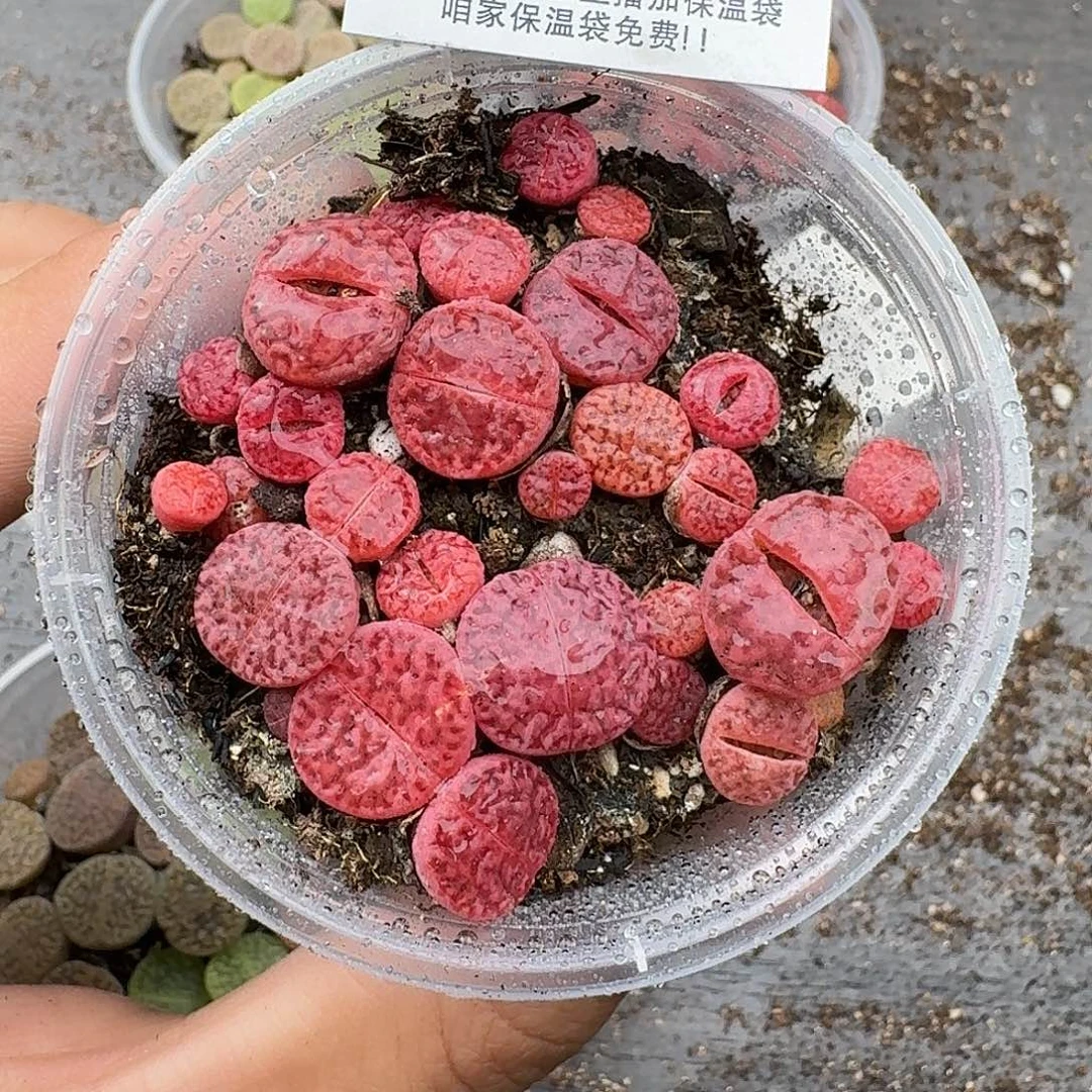 219满18包邮保温袋联系客服