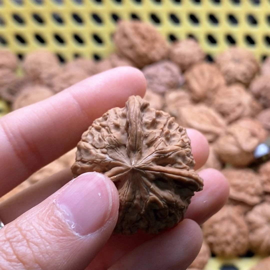 *****核桃定制商品不退不换