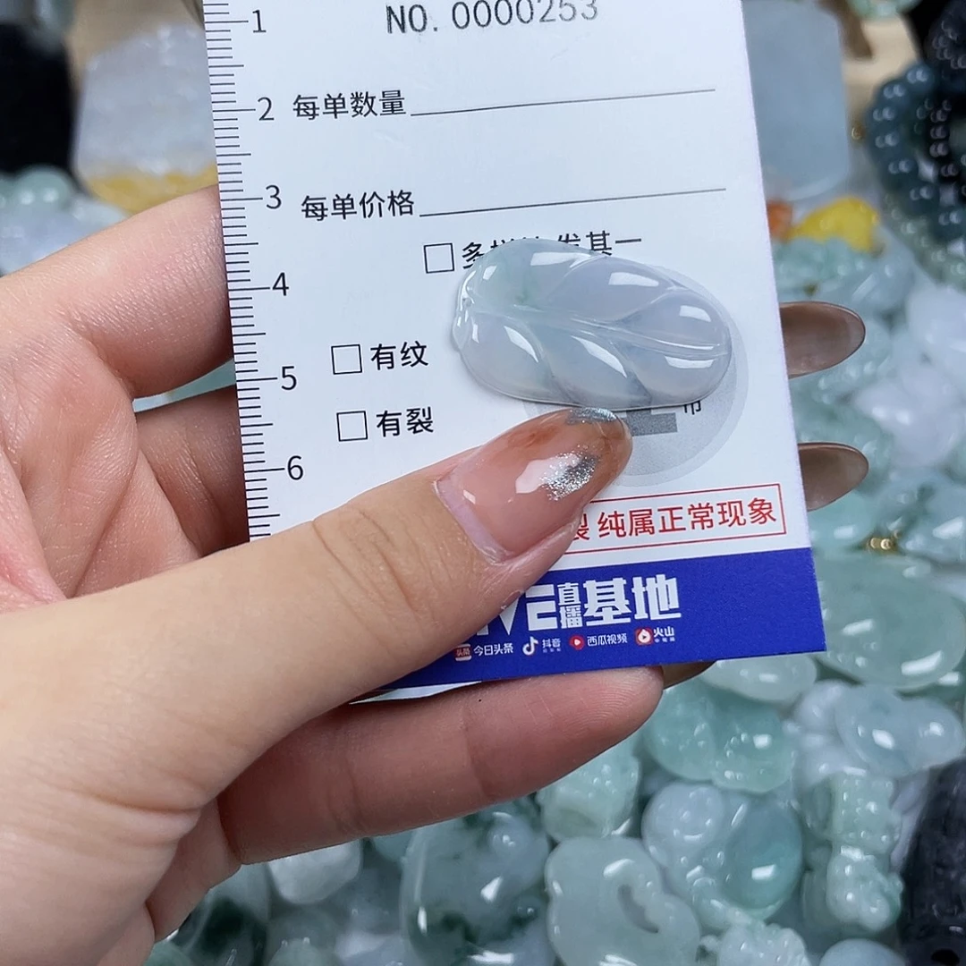 翡翠未镶嵌颈饰253