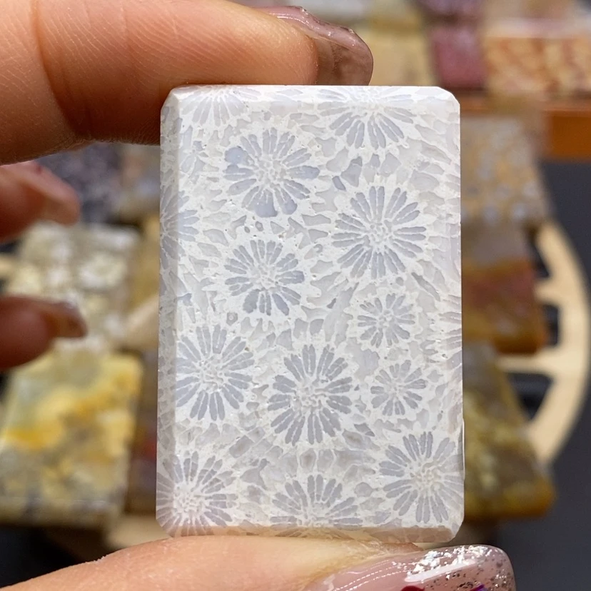 【闪购商品】硅化珊瑚（珊瑚玉）颈饰未镶嵌K98