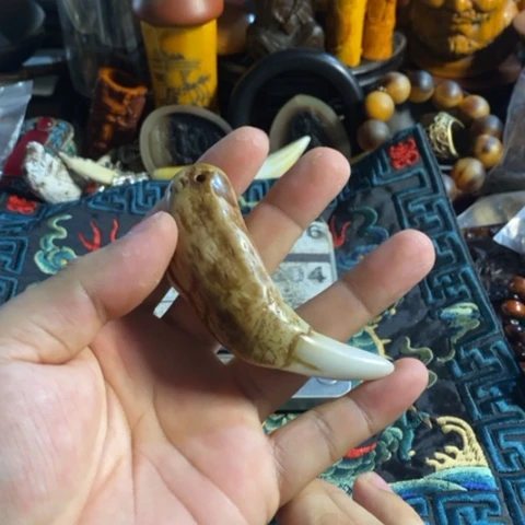 寻呼台的人也太少见啦