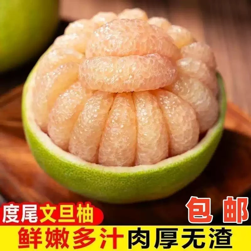 正宗仙游度尾文旦柚有孔好果新鲜采摘现发时令水果老人小孩都能吃