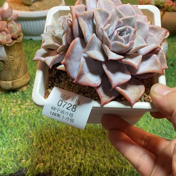 0728啊啊啊啊啊啊啊啊啊啊
