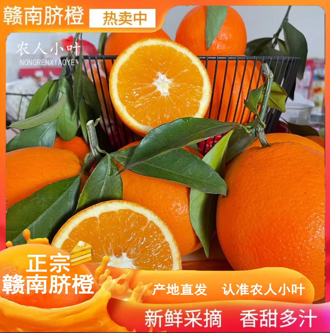 正宗赣南脐橙现摘现发皮薄肉厚香甜多汁产地直发 孕妇首选天然维C