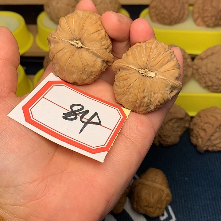 把件文玩核桃头货南瓜墩