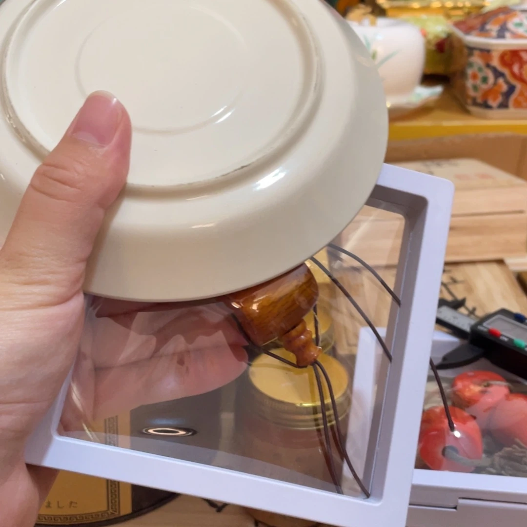 瓷片4688876544433456