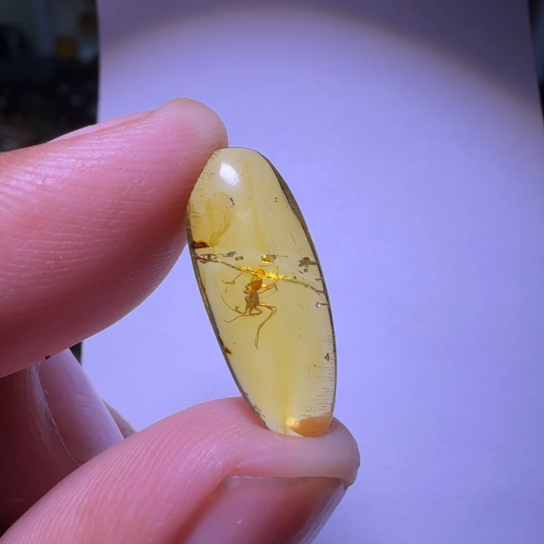 用***1琥珀未镶嵌裸石，，